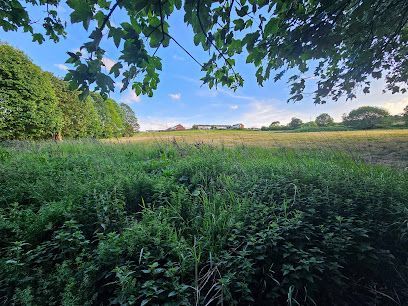 Green Way Walk