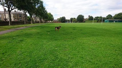 Wyke park